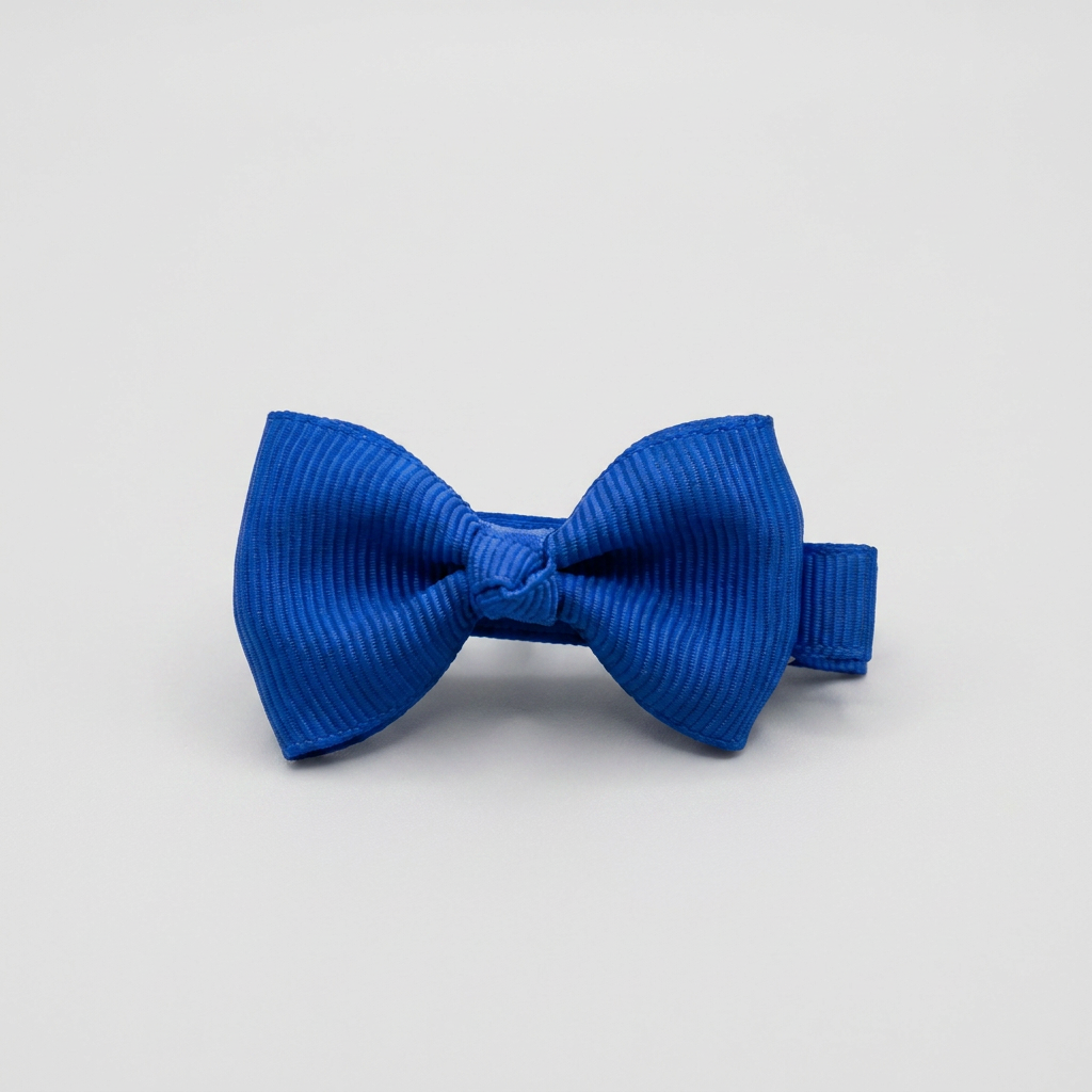 The Tiny Hair Accessory