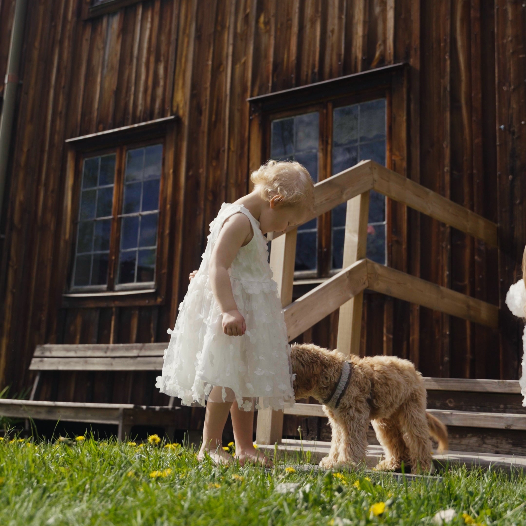 Light Tulle Flower Dress