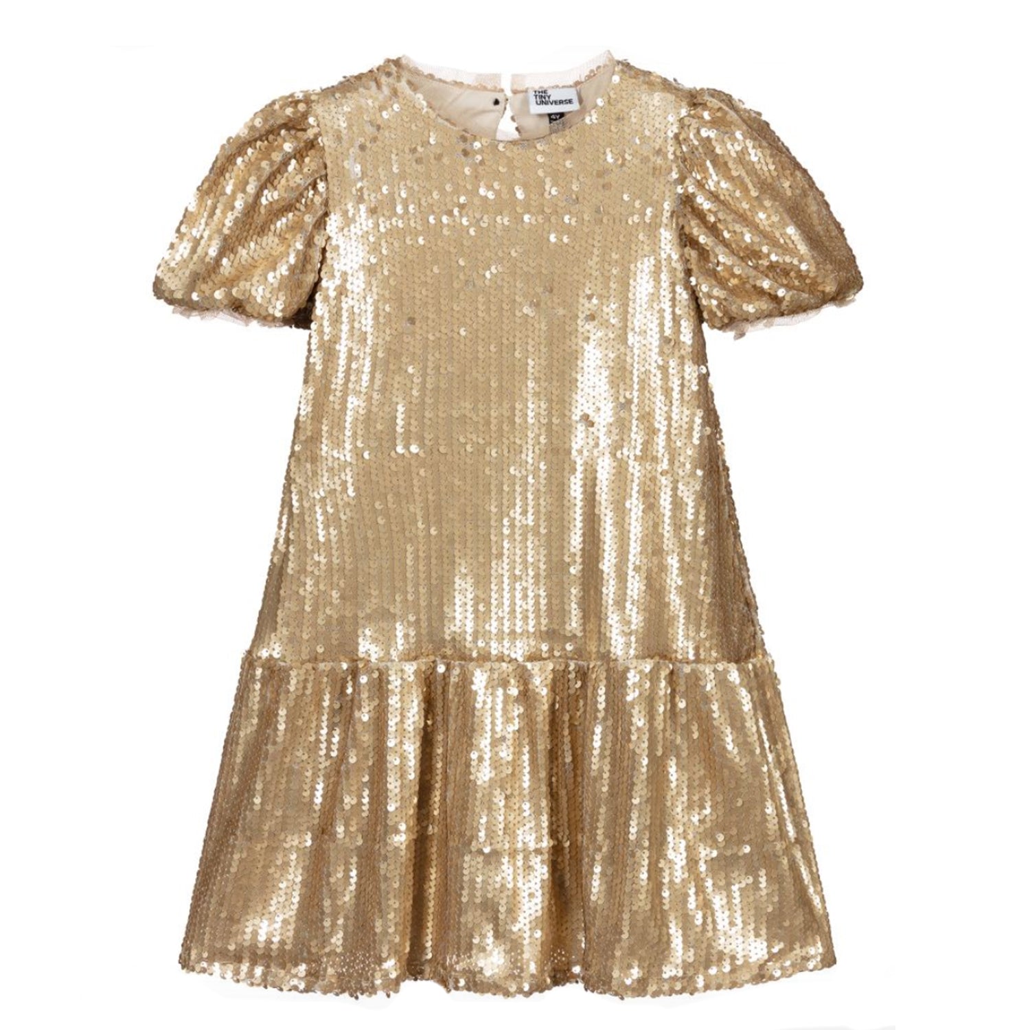 The Sequined Dress