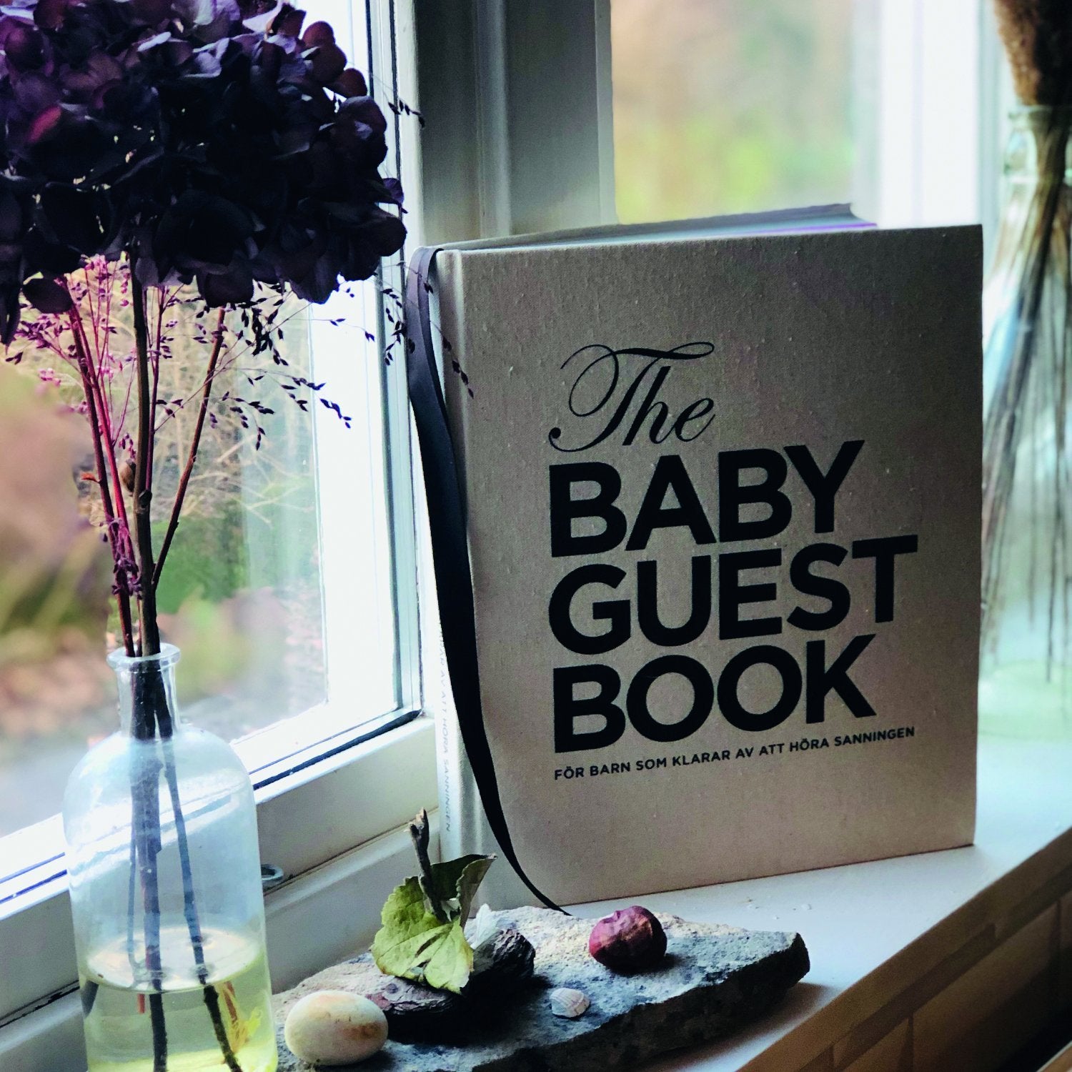 The Baby Guest Book - För barn som klarar av att höra sanningen - Svensk - The Tiny Universe Books