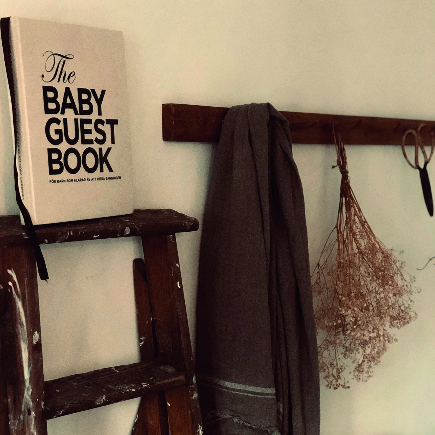 The Baby Guest Book - For barn som tåler å høre sannheten - Norwegian - The Tiny Universe Books
