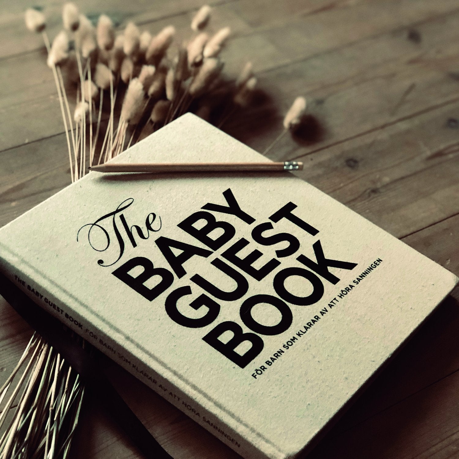 The Baby Guest Book - For barn som tåler å høre sannheten - Norwegian - The Tiny Universe Books