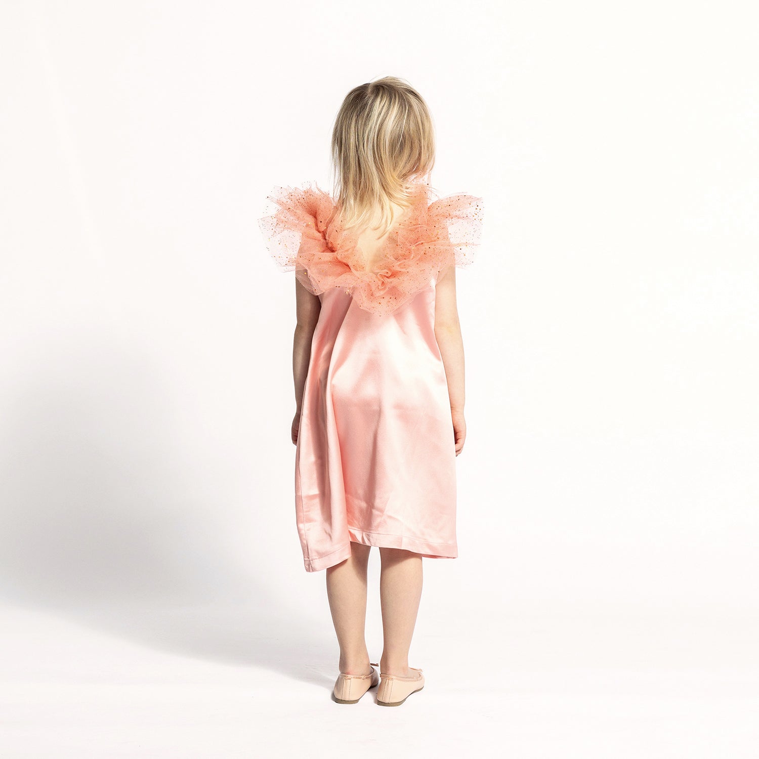 TULLE COLLAR DRESS - The Tiny Universe Dress